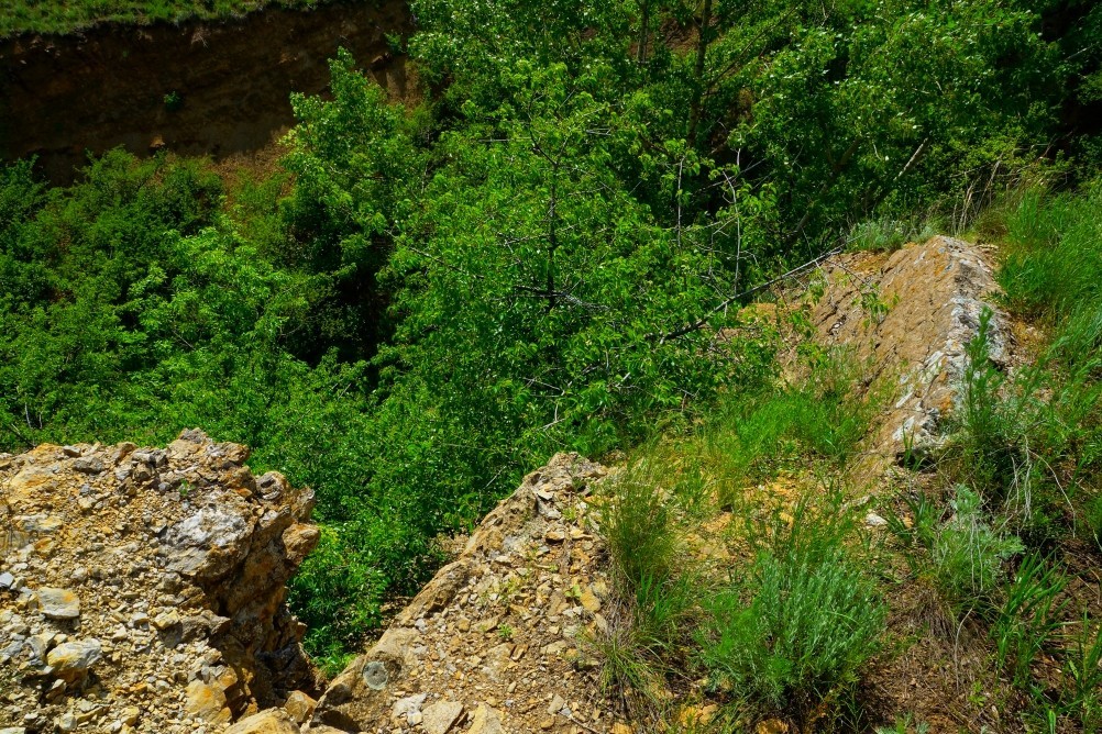 Памятник природы "Обнажение горных пород", Каменно-угольный период, Железная дорога Лихая - Изварино