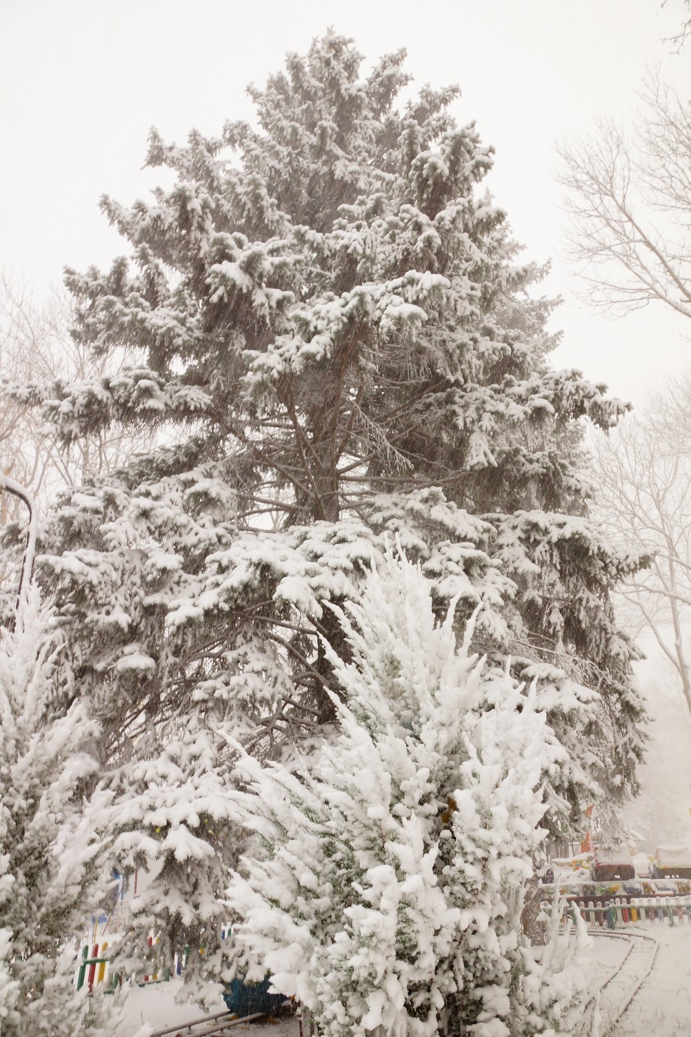 Парк Островского, первый снег.