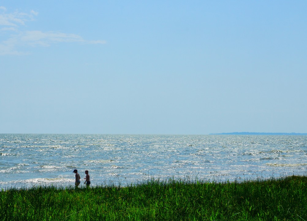 Берег Таганрогского залива и Таганрог на горизонте 