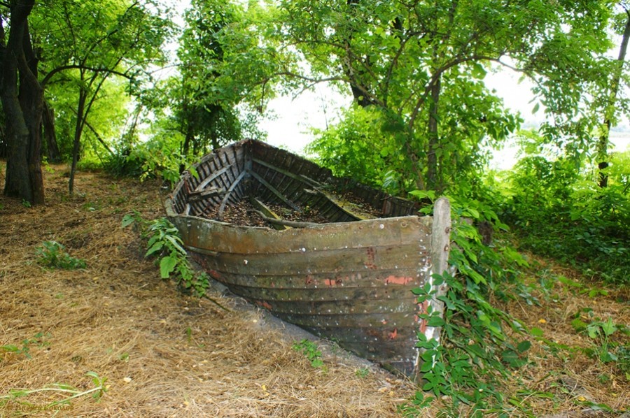 Старые рыбачьи лодки