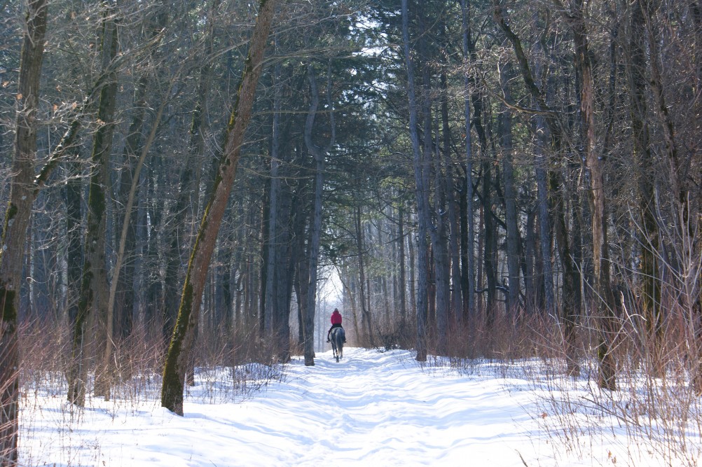 Всадница в красном в зимнем лесу
