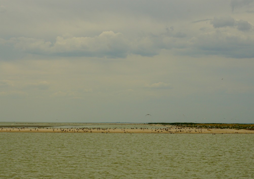 Острова в Азовском море