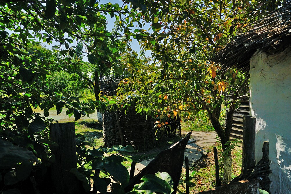 Праздник Кружилинские толоки на казачьем подворье в хуторе Кружилинском