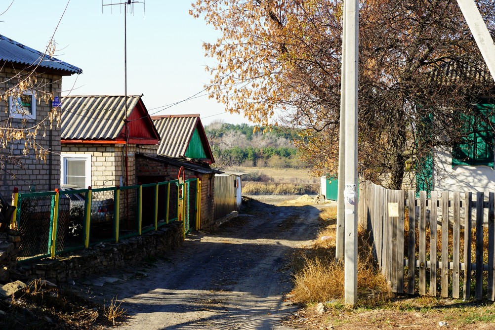 Окрестности поселка Коксового, хутора Ольховского и Бородиновского леса на Северском Донце