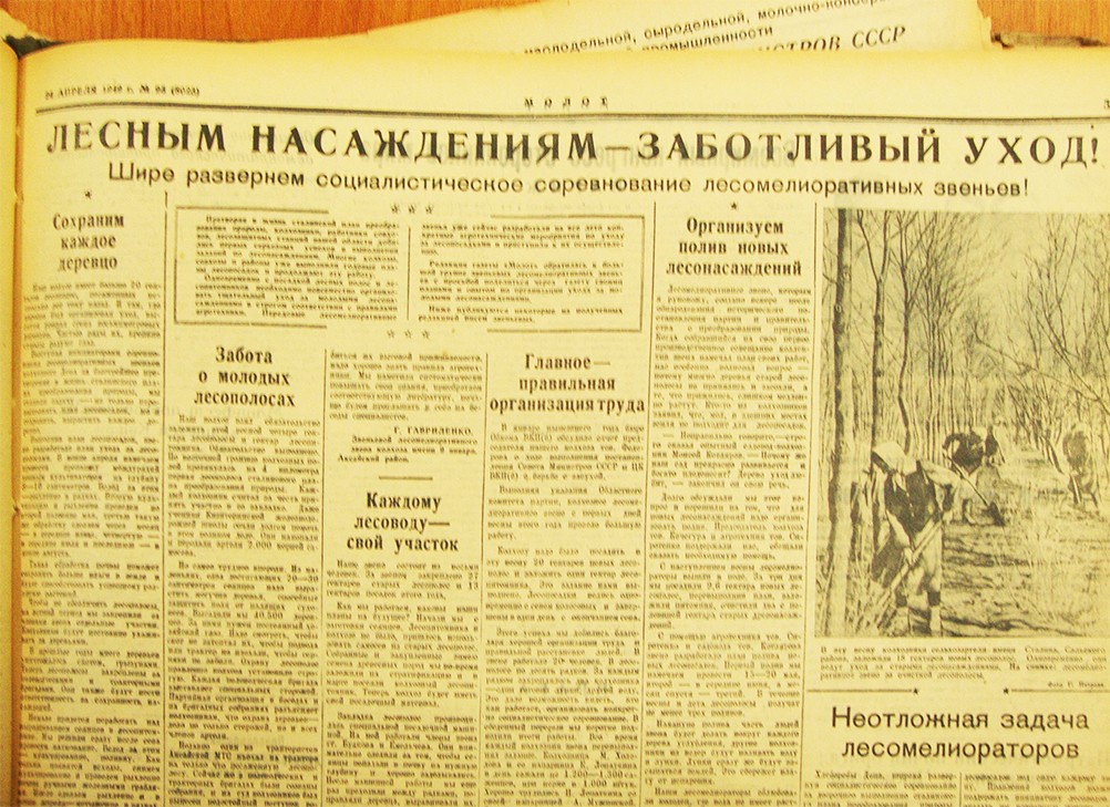 Устройство государственных лесозащитных полос по сталинскому плану преобразования природы