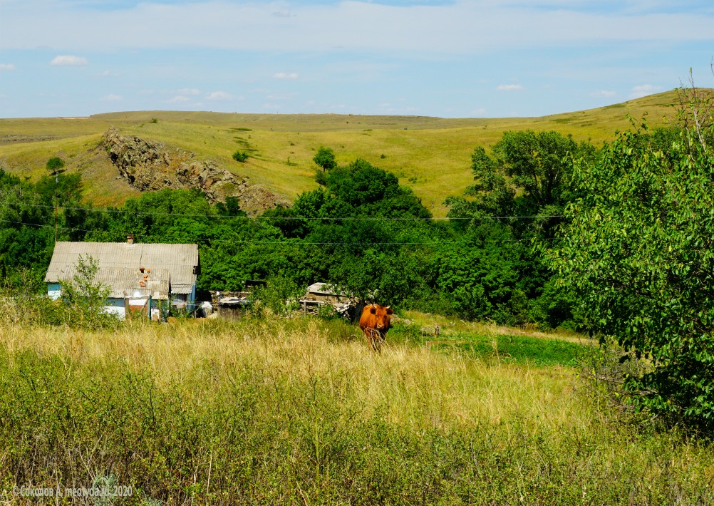 Постоялый двор на чумацком тракте в хуторе Аникин