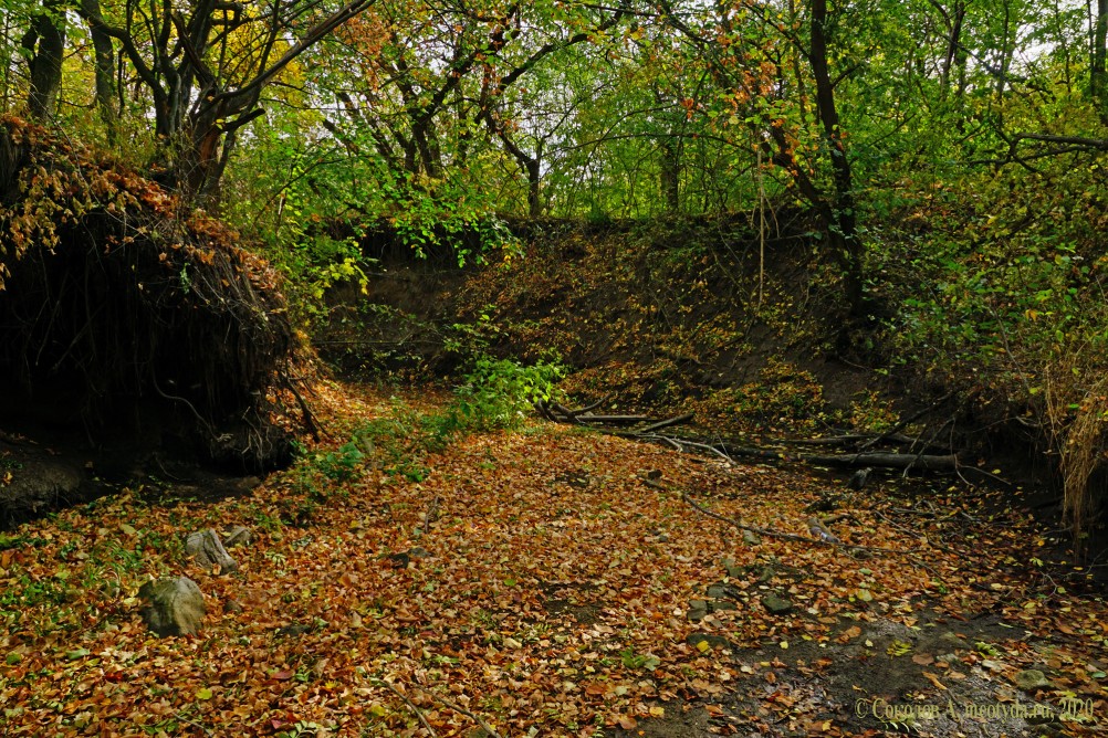 Памятник природы Черная балка