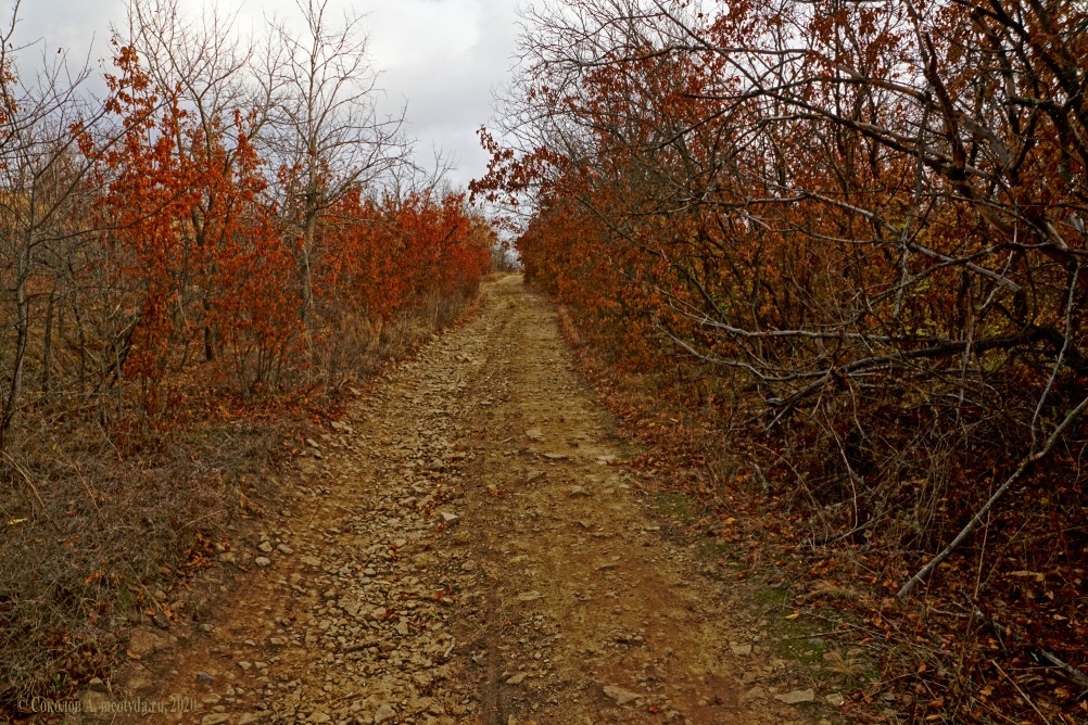 Прогулка по осенним лесам и перекатам на Северском Донце