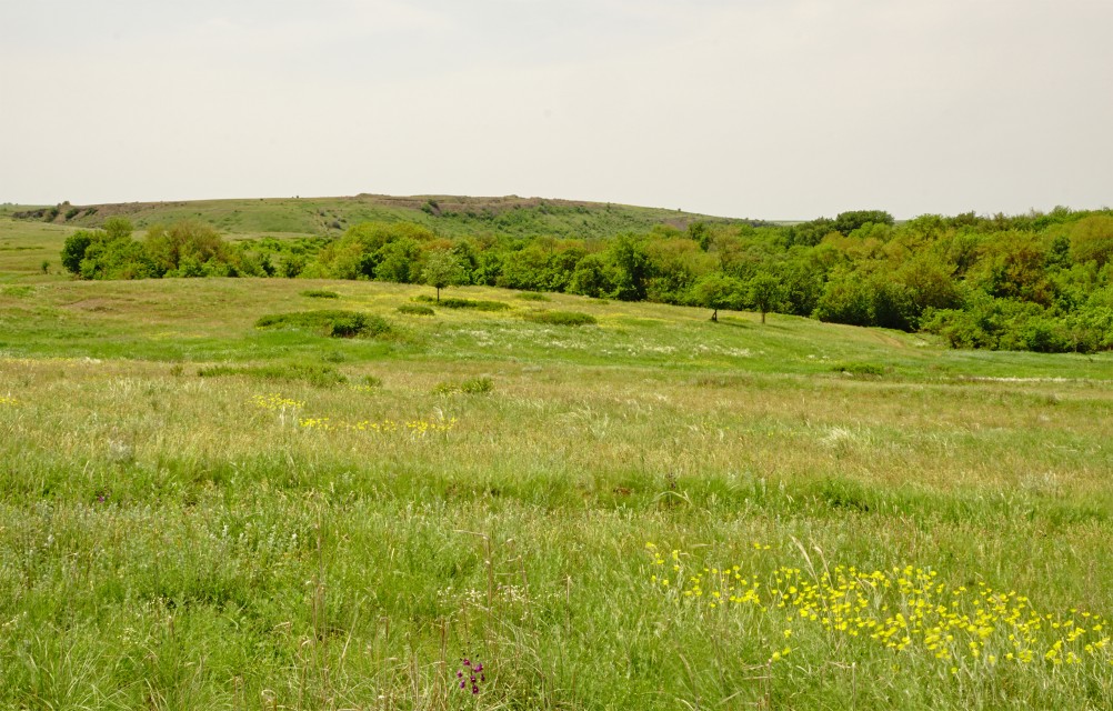 Кундрючья