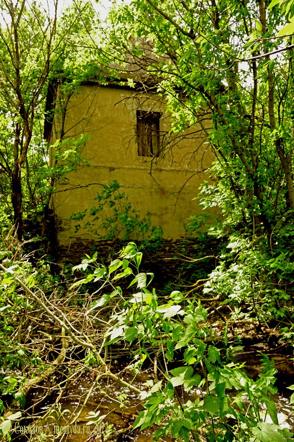 Водяная мельница в хуторе Грушевка на реке Кундрючьей