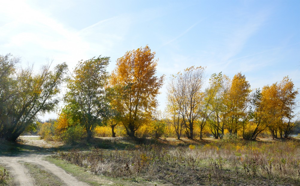 Осенняя прогулка по месту где сходятся Дон, Керчик и Аксай