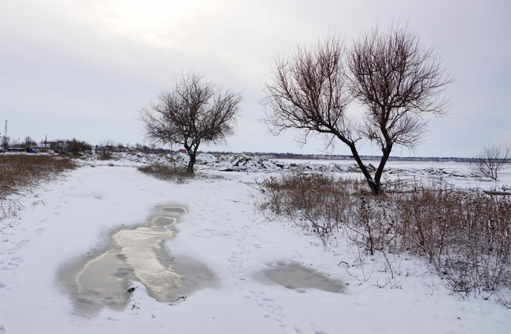 Ветровой нагон льда в Таганрогском заливе у села Займо-Обрыв