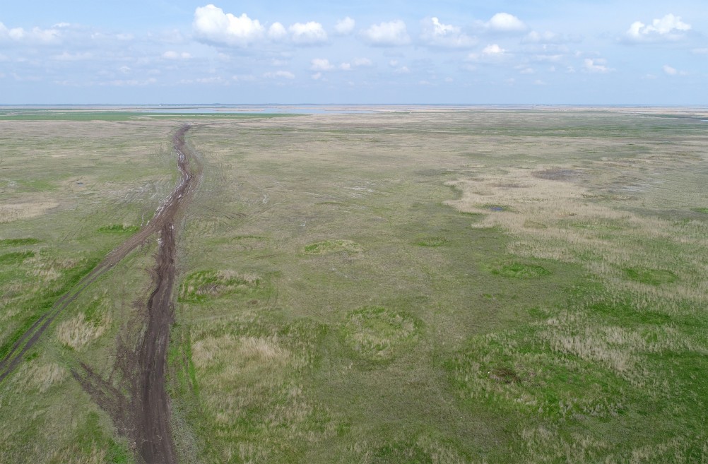 Водно-болотные угодья на берегах Весёловского водохранилища на Маныче.