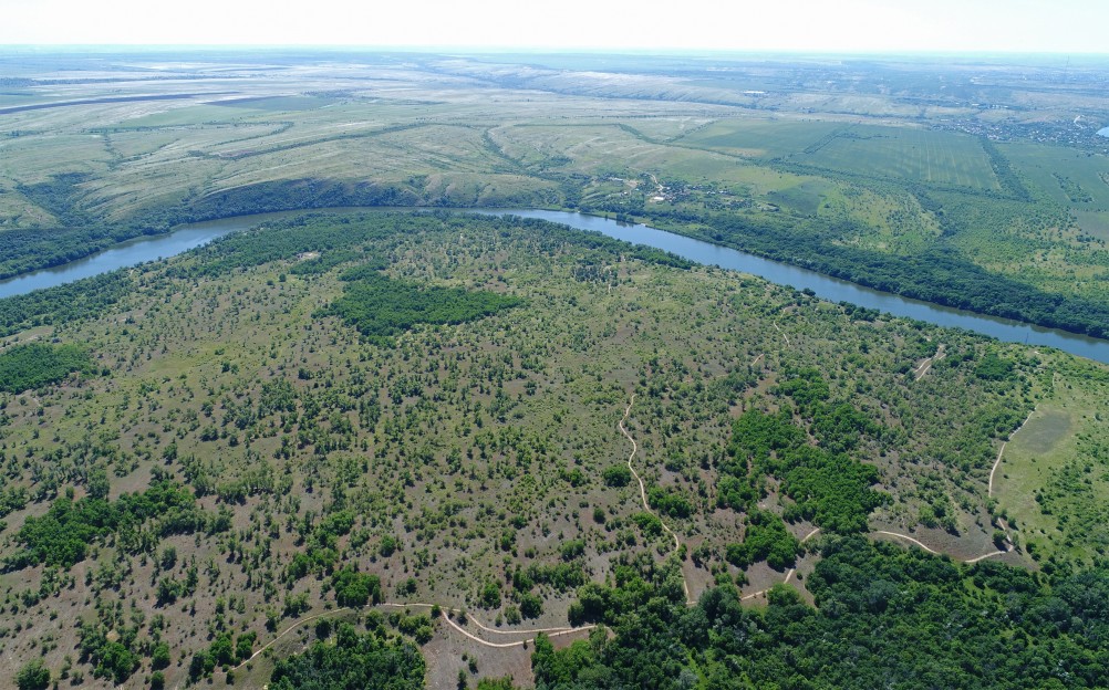 Леса по берегам Северского Донца у хуторов Диченский, Дубовой и Хоботок