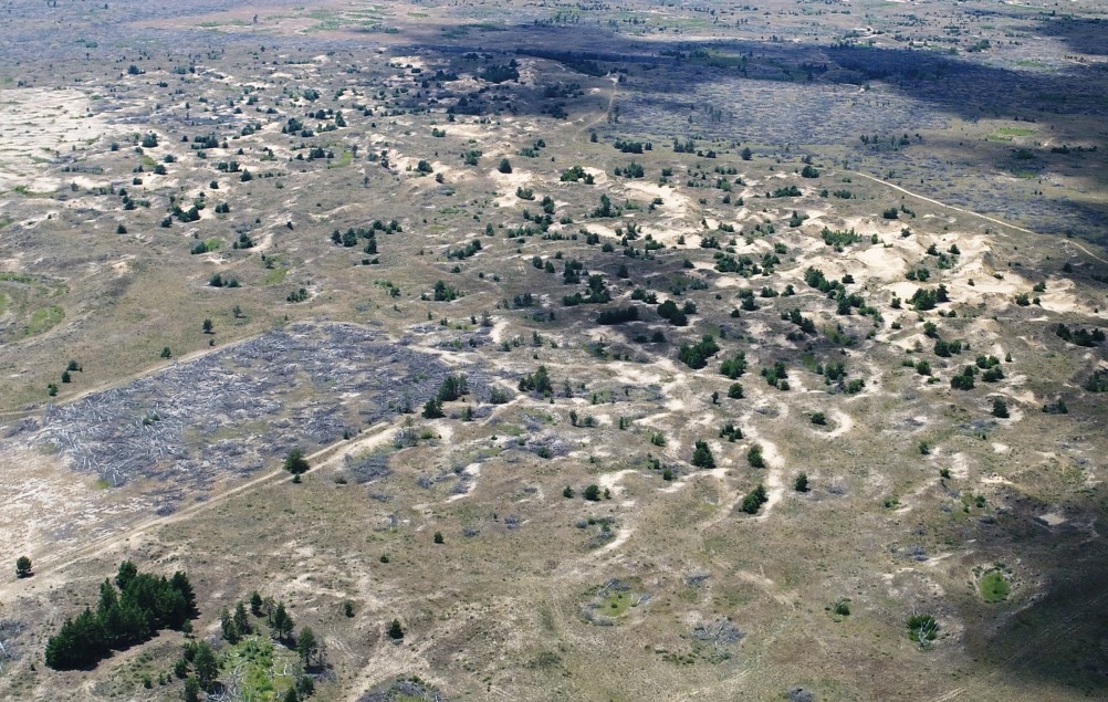 Кундрюченские пески и леса после пожара