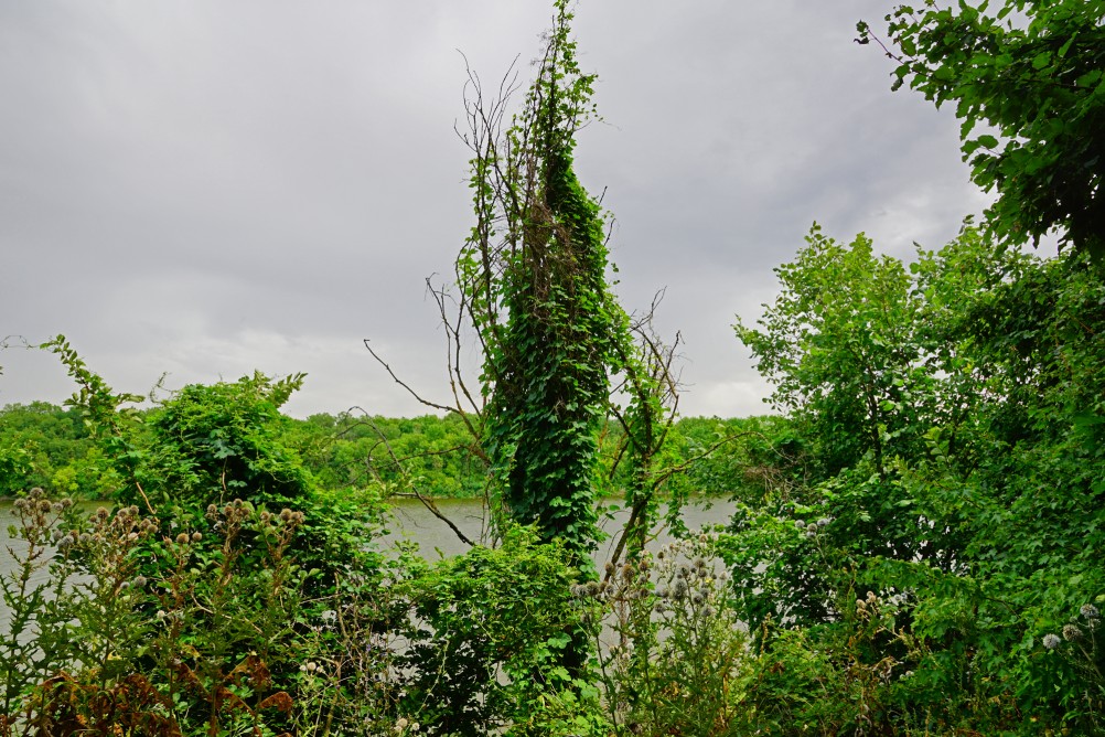 Водопад в балке на берегу Северского Донца
