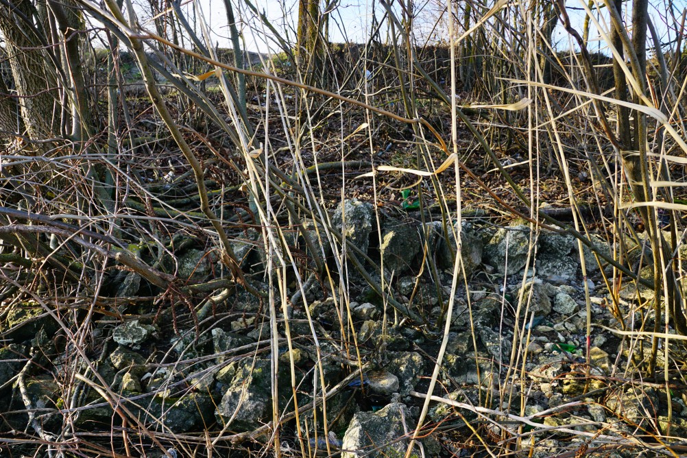 Остатки Траншемента времён петровских походов, на берегу Дону у Аненской крепости