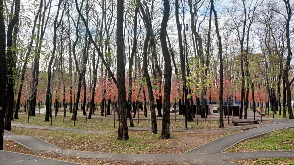 Парк "Осенний" на Чкаловском