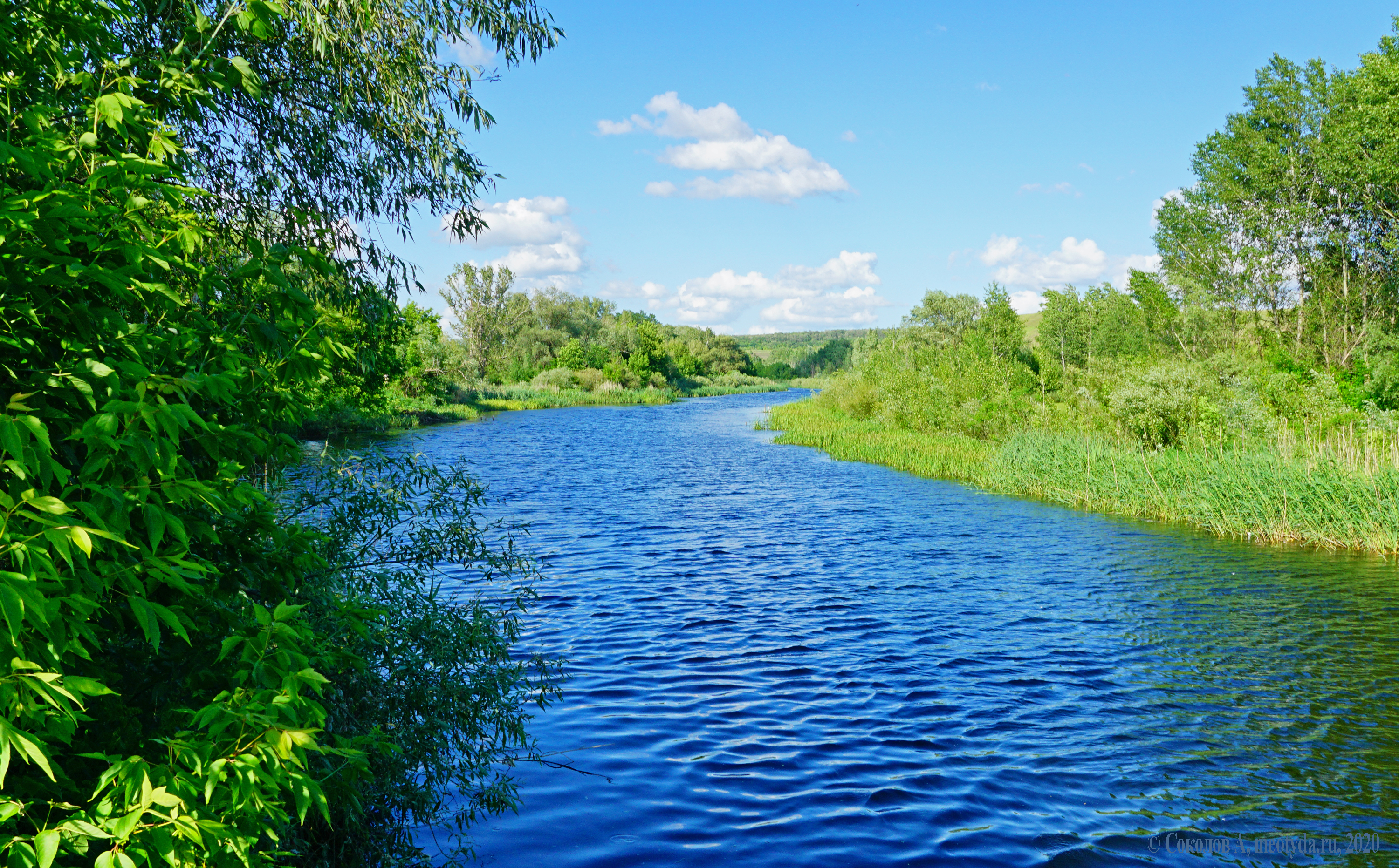 1 добрые реки. Река Щегринка. В течении реки. Спокойное течение реки. Сильное течение реки.