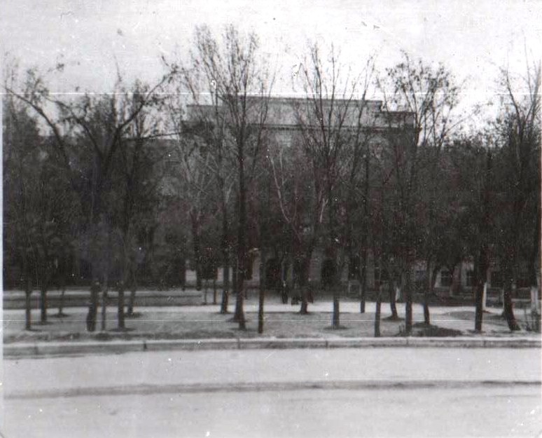 Школа в 1971 году. Школа гигант Сельмашстроя.