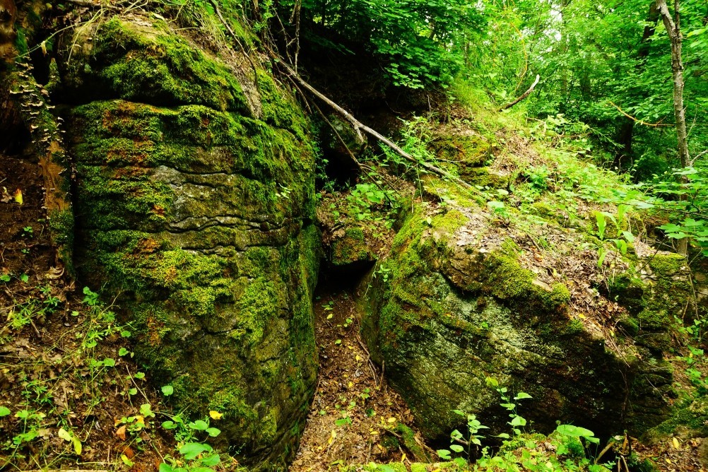 Северский Дрнец, таинственный водопад, мельница, замшелые камни