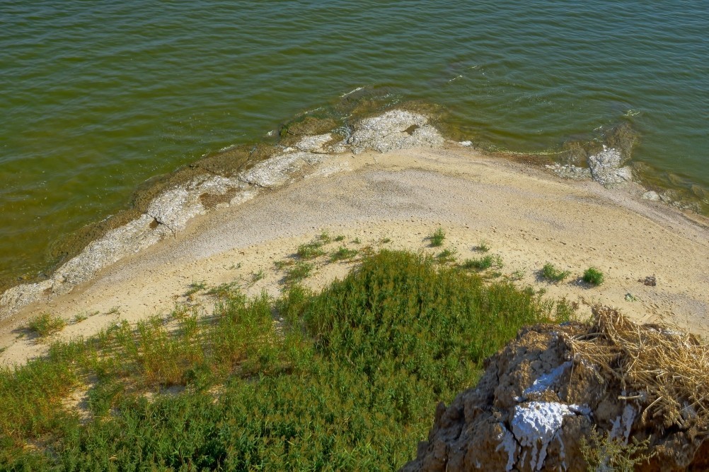 Хутор Рожок на азовском море рядом с которым обнаружены поселения людей каменного века. Замор бычка в азовском море