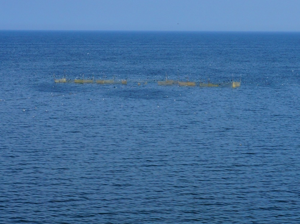 Хутор Рожок на азовском море рядом с которым обнаружены поселения людей каменного века, рыболовные сети.