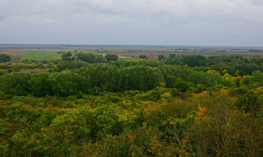 Осень в Золотых горках - удивительном памятнике природы ростовской области. 