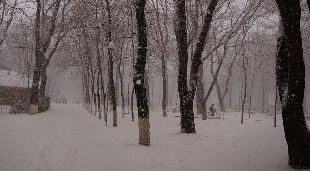 Парк Островского, первый снег. Велосипедист.