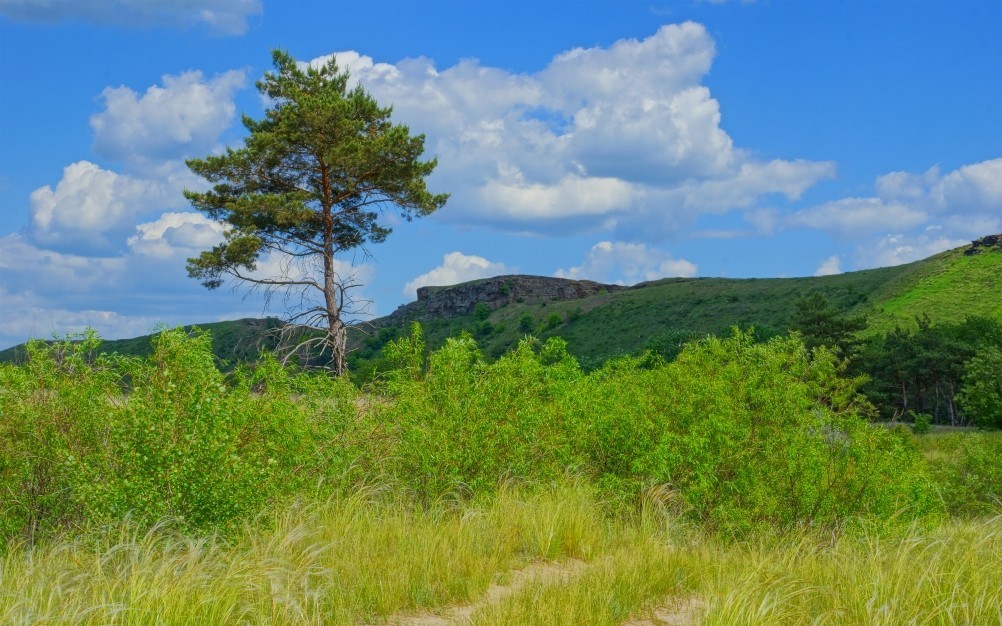 Удивительно красивый Бородиновский лес и скалы по берегам Северского Донца.