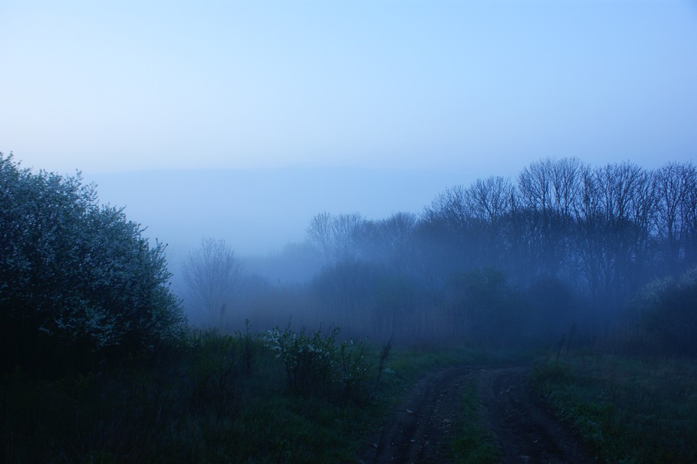 Туманное, весеннее утро на Тузлове