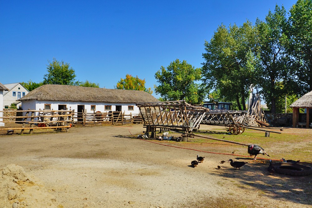 Праздник Кружилинские толоки на казачьем подворье в хуторе Кружилинском