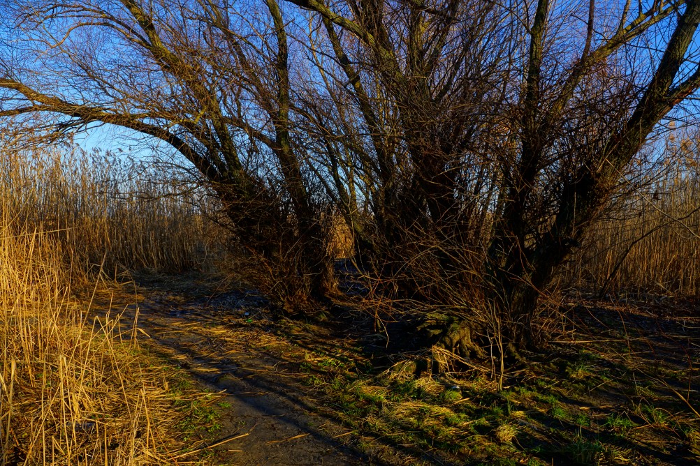 Хутор Шмат и его уроженец Сергей Корольков