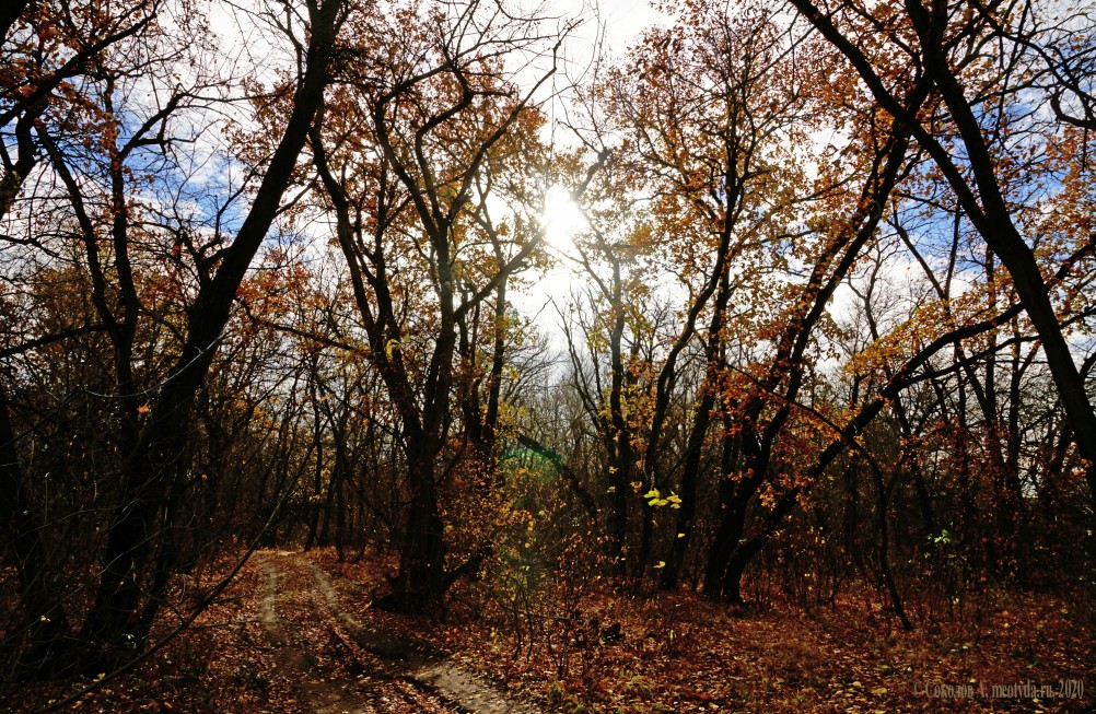 Прогулка по осенним лесам и перекатам на Северском Донце