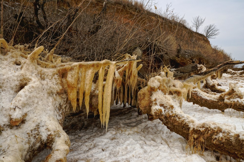Песчаные сосульки на берегу Таганрогского залива во время ветрового нагона воды