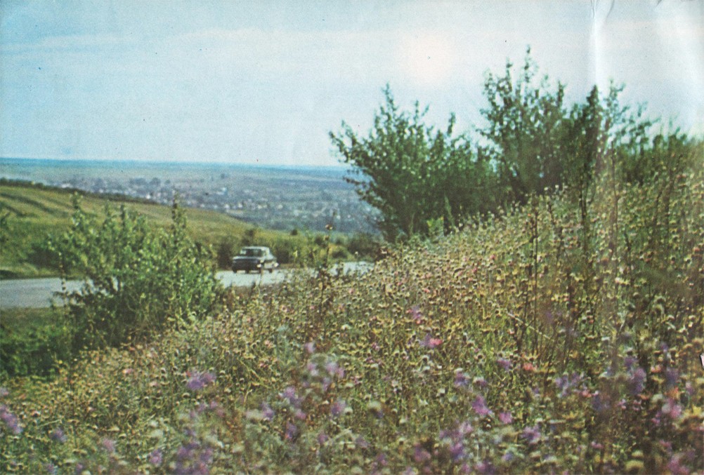 Фотоальбом 1974 г. "По-над Доном сад цветёт..."