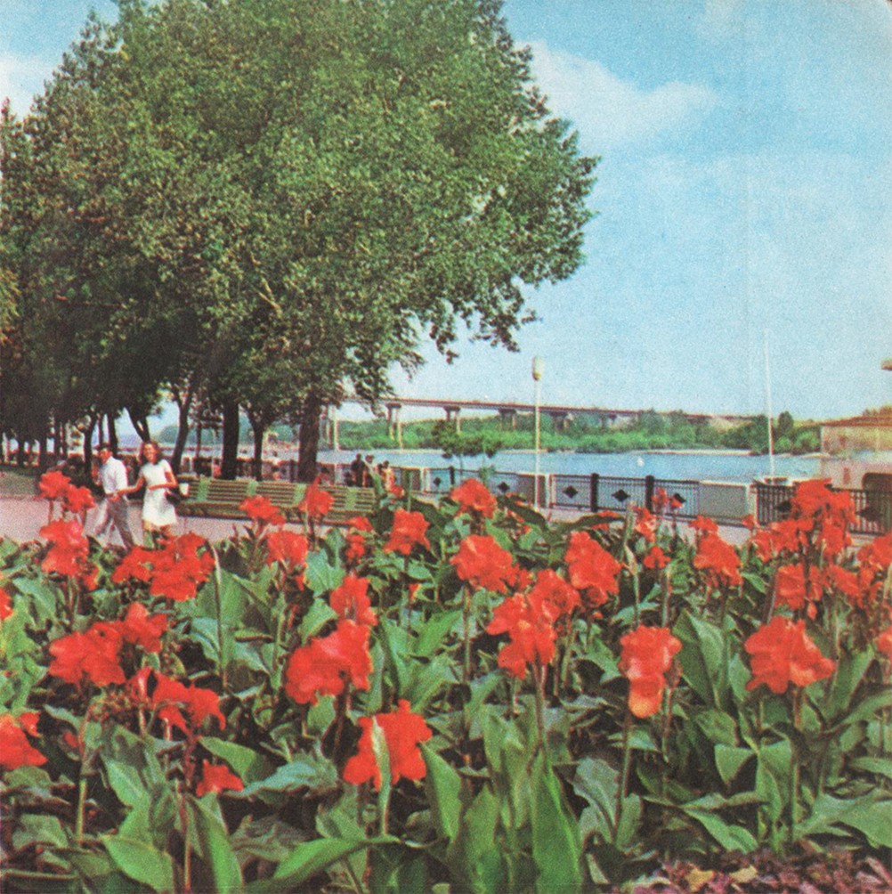 Фотоальбом 1974 г. "По-над Доном сад цветёт..."