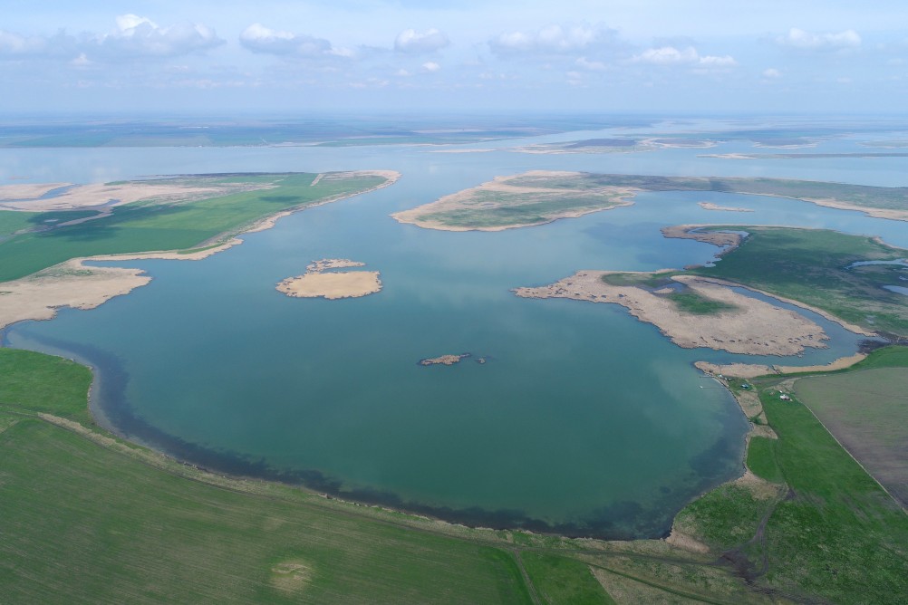 Водно-болотные угодья на берегах Весёловского водохранилища на Маныче.