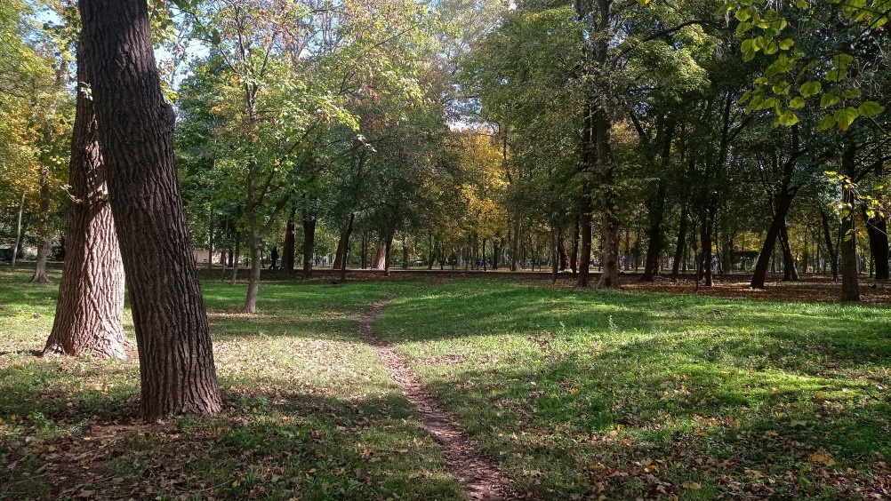 Осень в парке им. Н. Островского