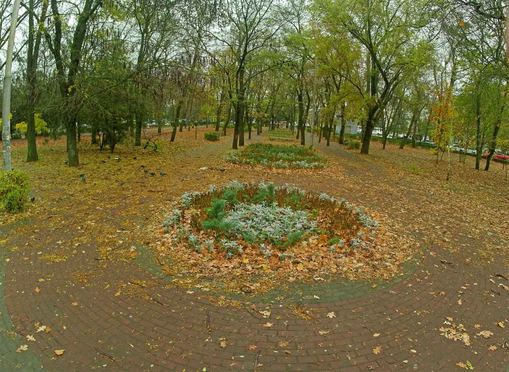 Осень в городе Ростове-на-Дону