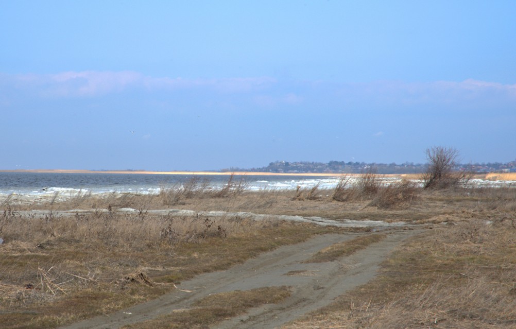 Ранняя весна на берегу Таганрогского залива