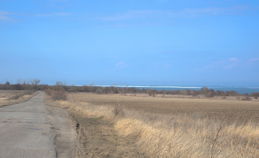 Ранняя весна на берегу Таганрогского залива