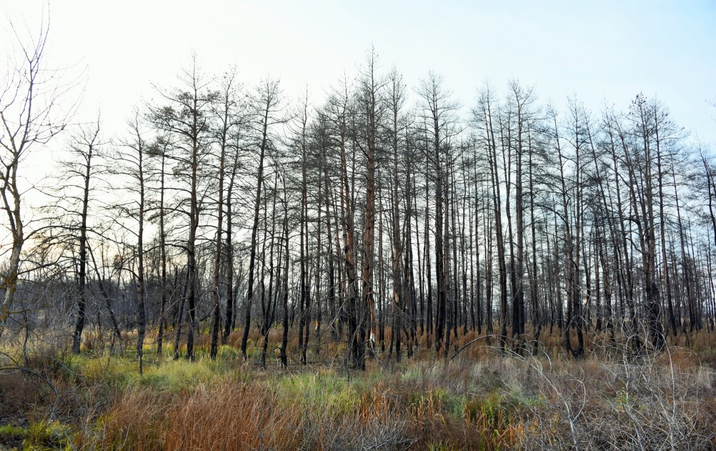 Осень в правобережье Северского Донца у станицы Усть-Быстрянской и Кундрюченских лесов
