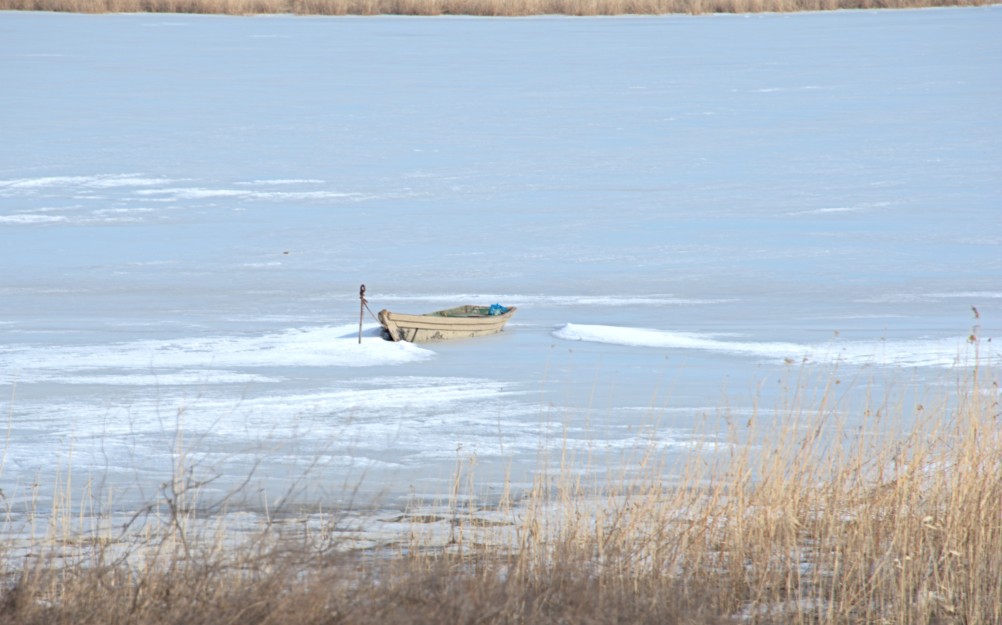 В феврале на Весёловском водохранилище и Шахаевском лимане