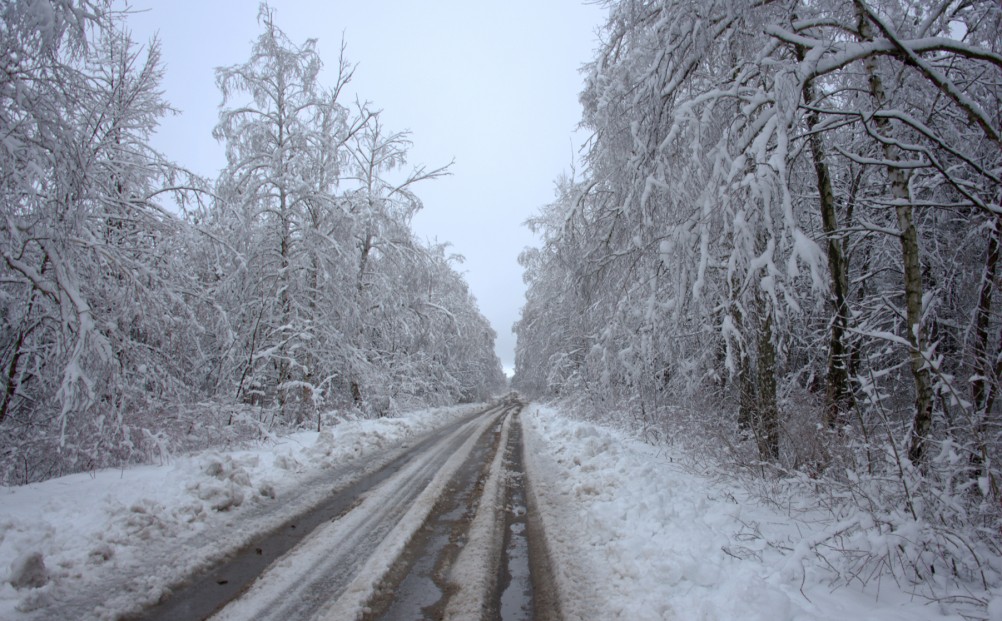 Снегопад и ледяной дождь в Донлесхозе и окрестностях
