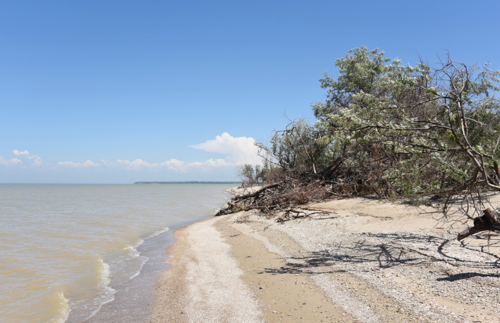 Новомаргаритовский берег Азовского моря