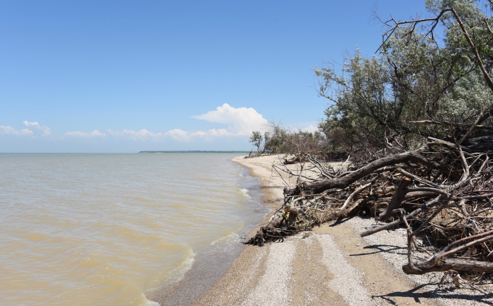 Новомаргаритовский берег Азовского моря