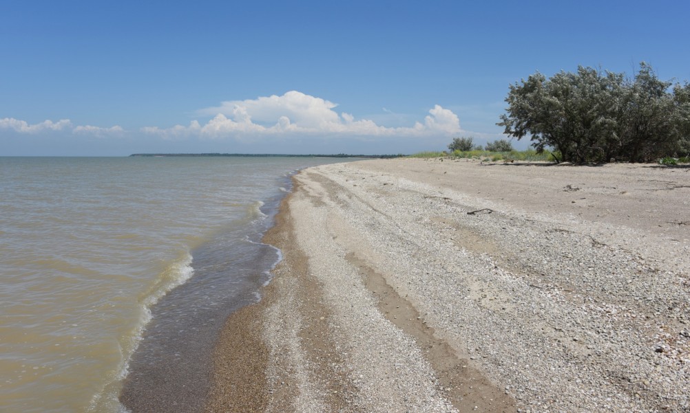 Новомаргаритовский берег Азовского моря