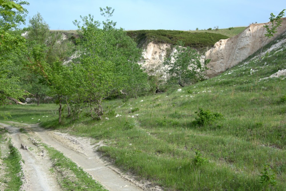 Меловые горы на Дону у хутора Мелоклетского