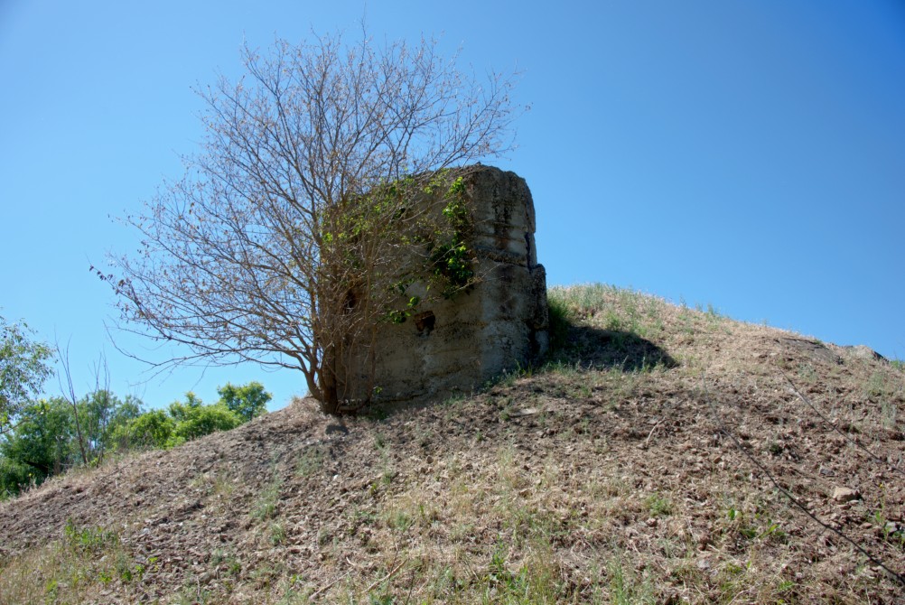 Хутор Свинарёв на Калитве, история и природа.